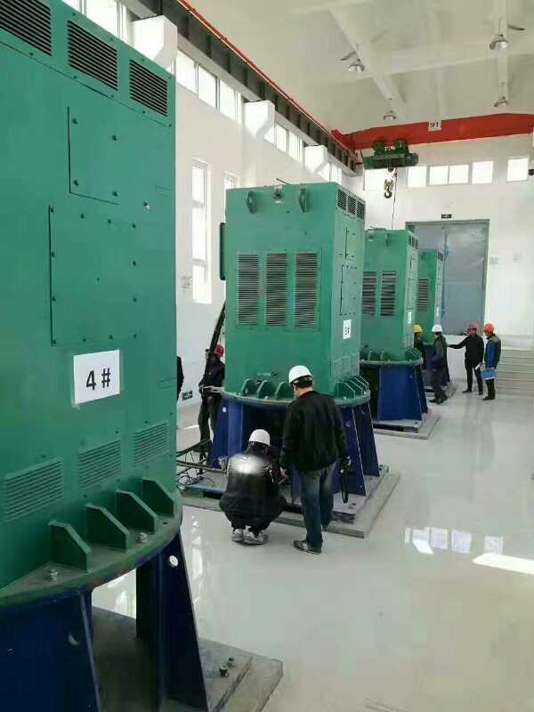 梅江某污水处理厂使用我厂的立式高压电机安装现场