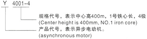 西安泰富西玛Y系列(H355-1000)高压梅江三相异步电机型号说明